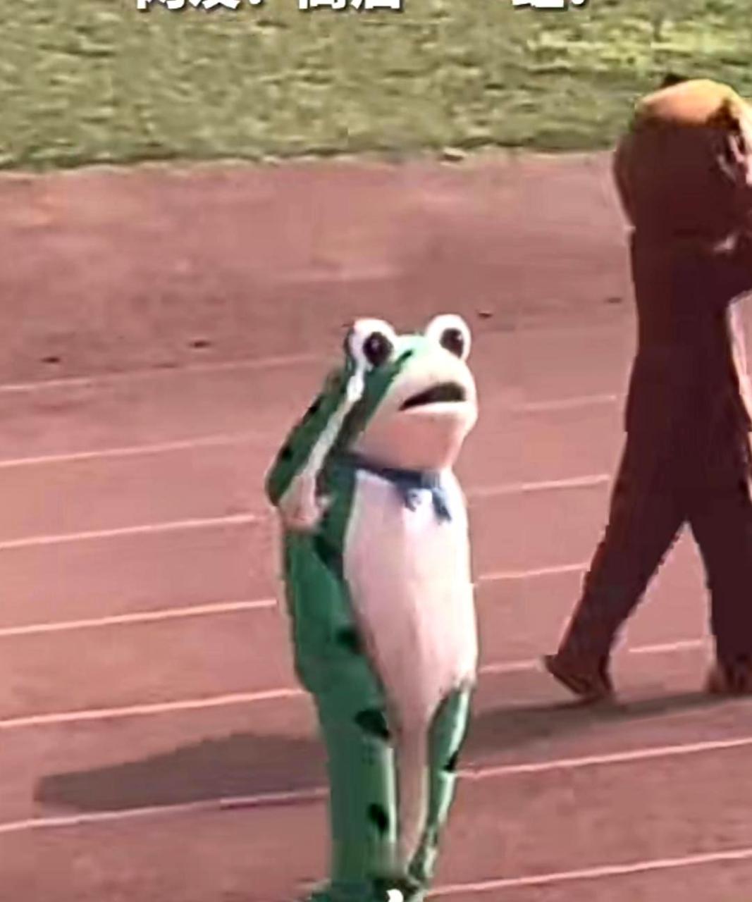 有谁能够拒绝一个会敬礼的青蛙呢?