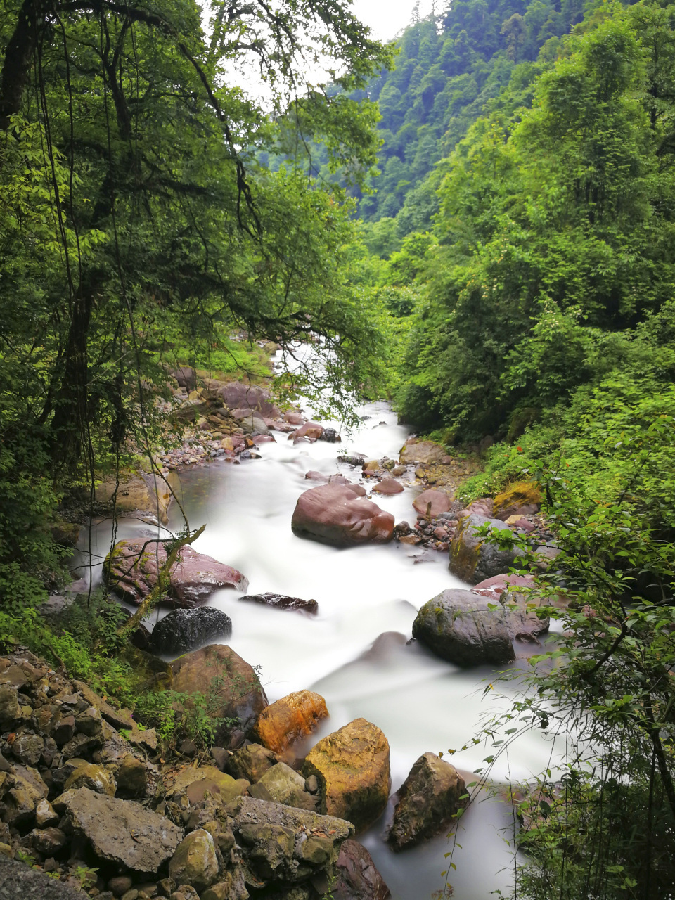 黑竹沟风景区最佳季节图片