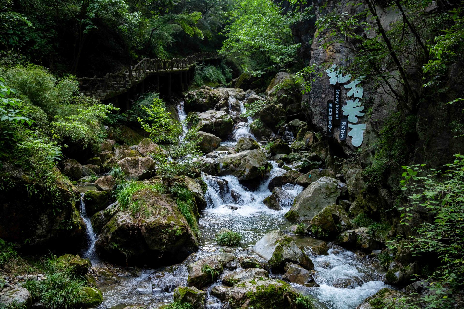 房县野人谷作为一个避暑胜地,并非徒有虚名,翠绿欲滴,幽静凉爽,飞瀑