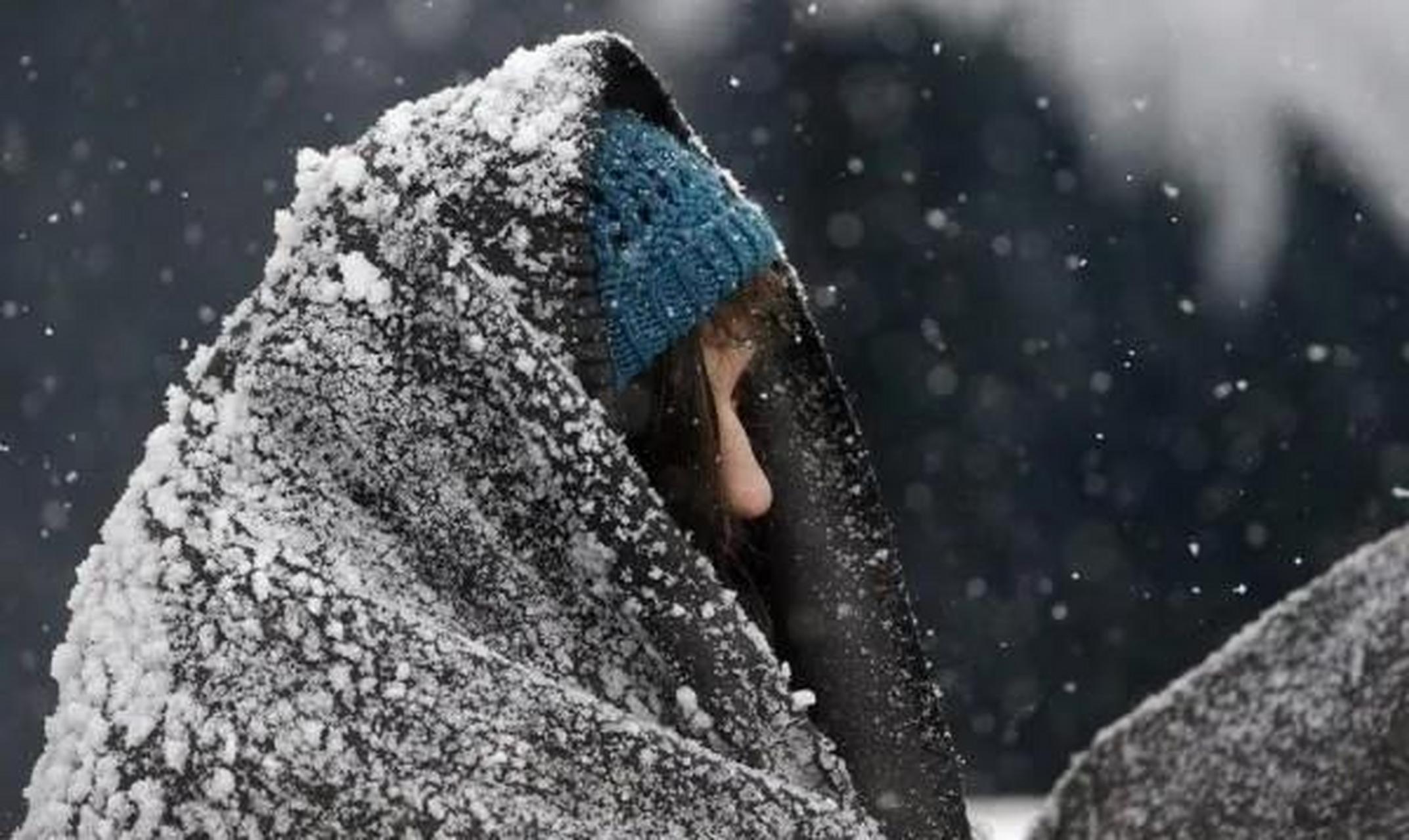 天空降下鹅毛大雪,大家都不想出门,可一个女人跪在家门口,而且身上还