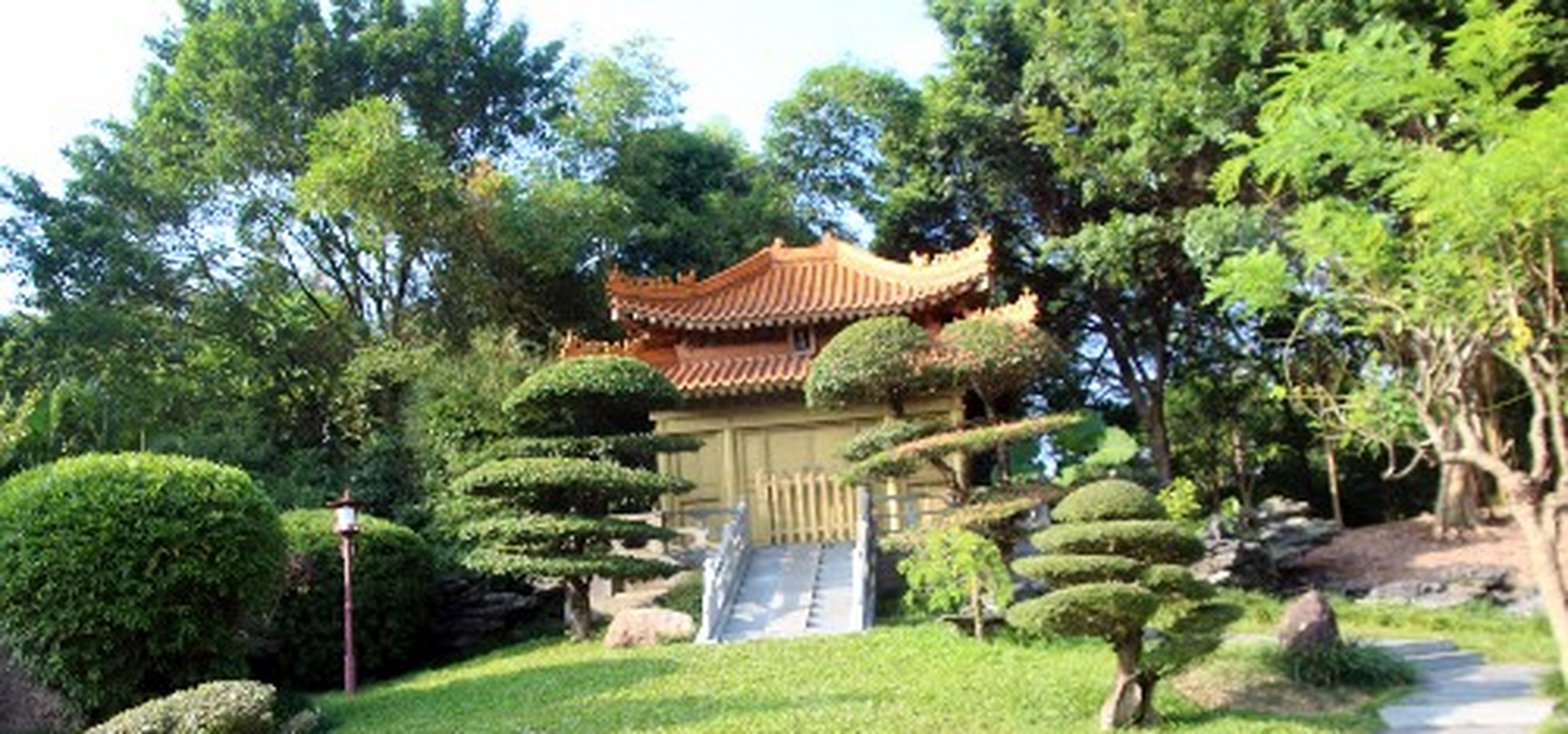 深圳植物花卉市场有哪些