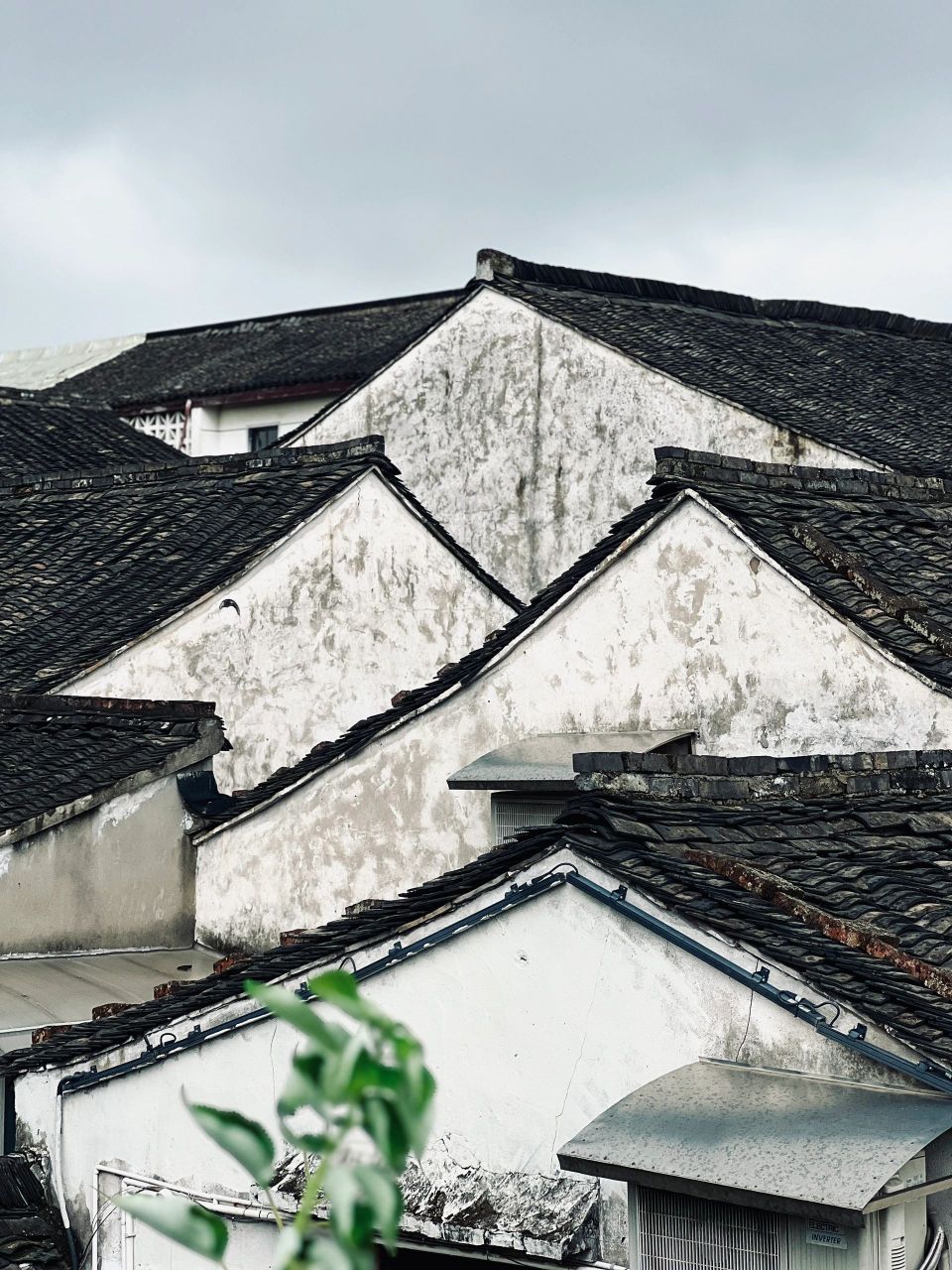 绍兴的屋顶也太像水墨画了吧 #绍兴# #江南古镇# #中式美学