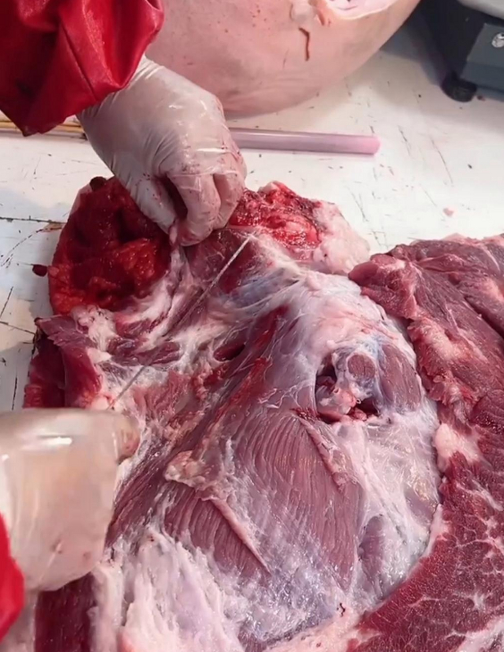 据说,猪血脖子上的这块肉,都卖给包子铺了,不知道是真是假