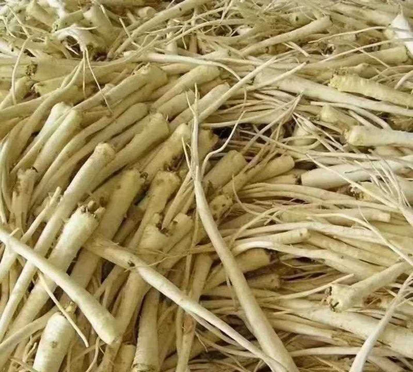 青岛人是不是都认识这道美食