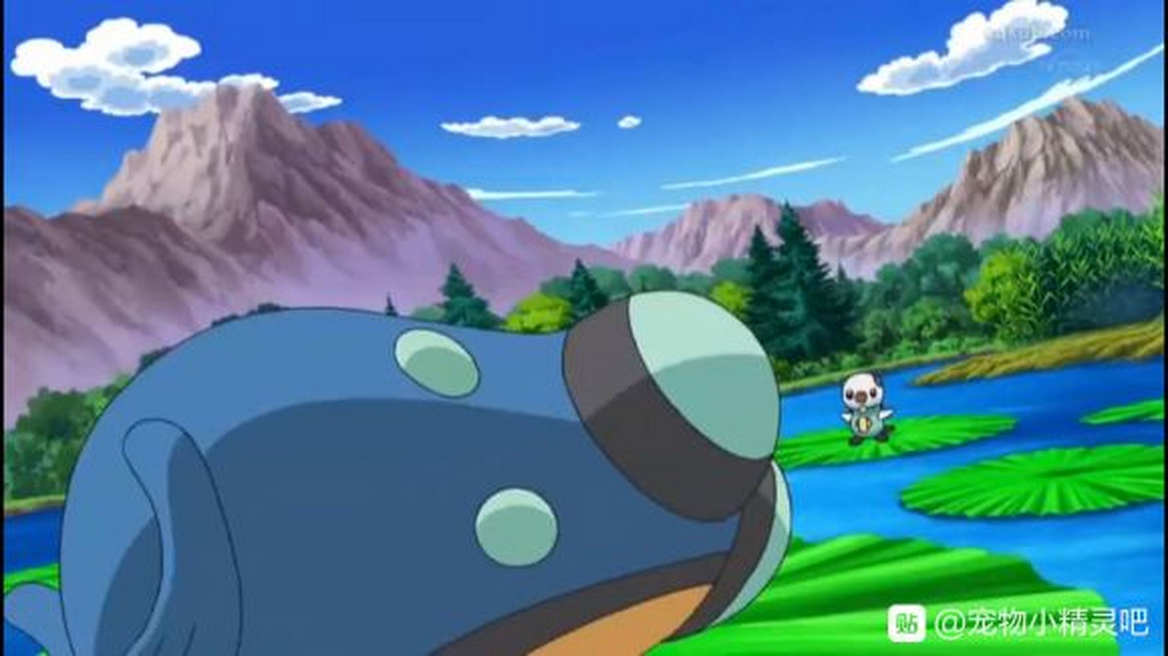 小智在bw收服的街头老大~蓝蟾蜍[滑稽]