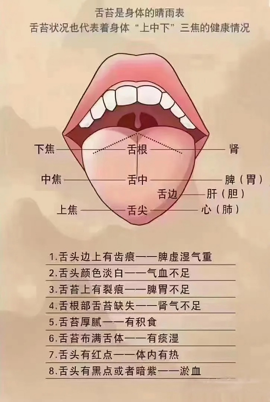 [挠头]】#舌头# 是人体神经血管分布极为丰富的部位之一,其中"望舌"在