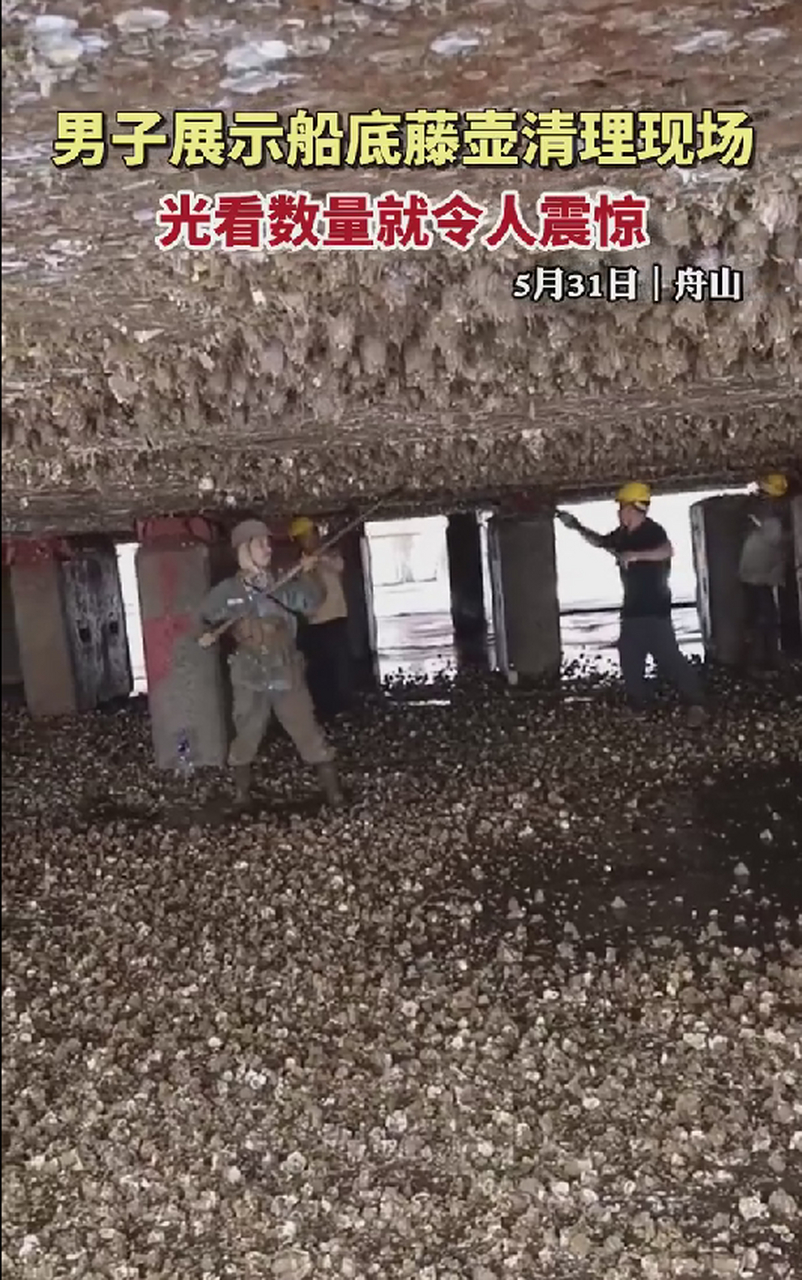 男子展示船底藤壶清理现场