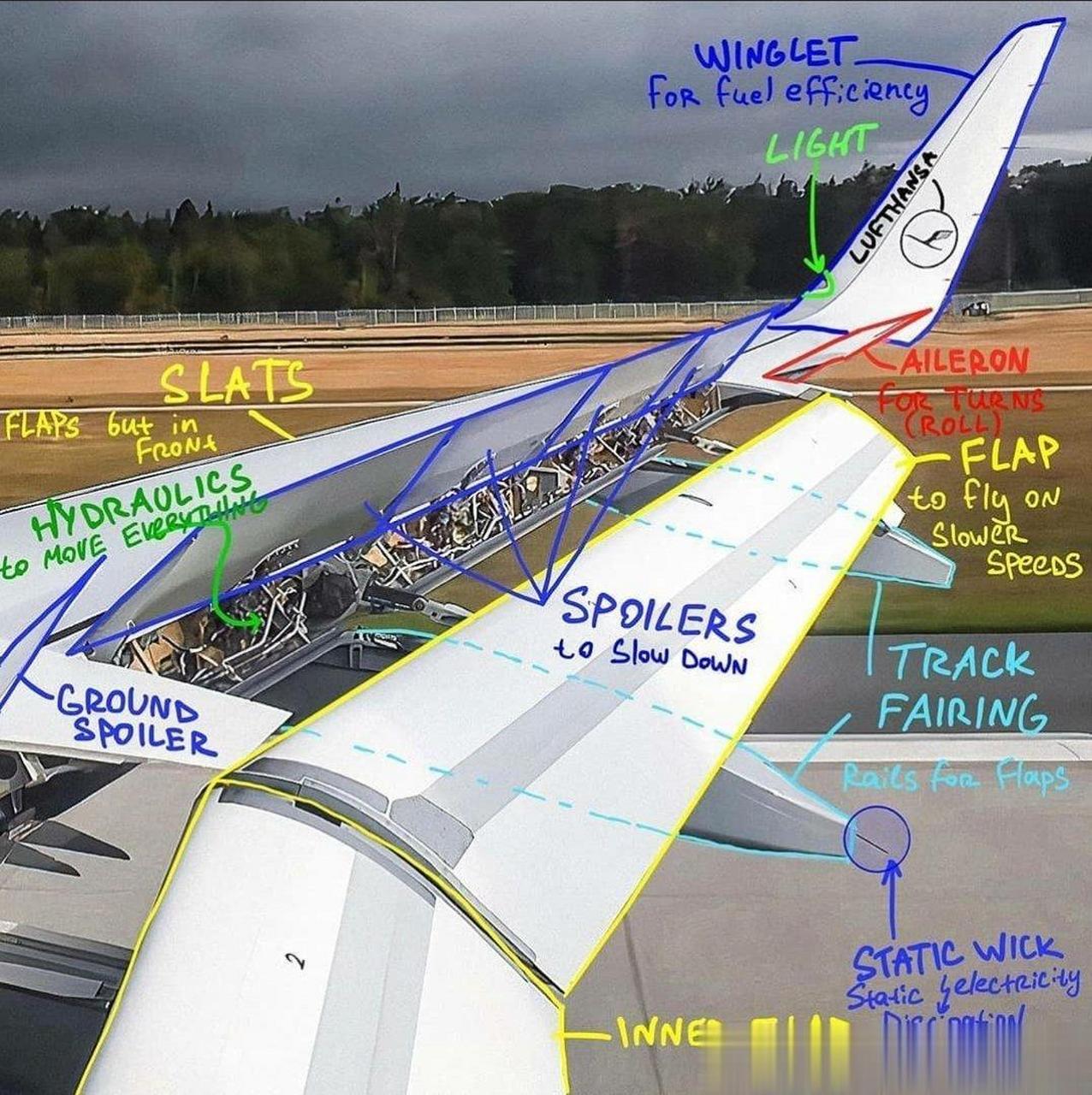 飞机机翼焦点图片