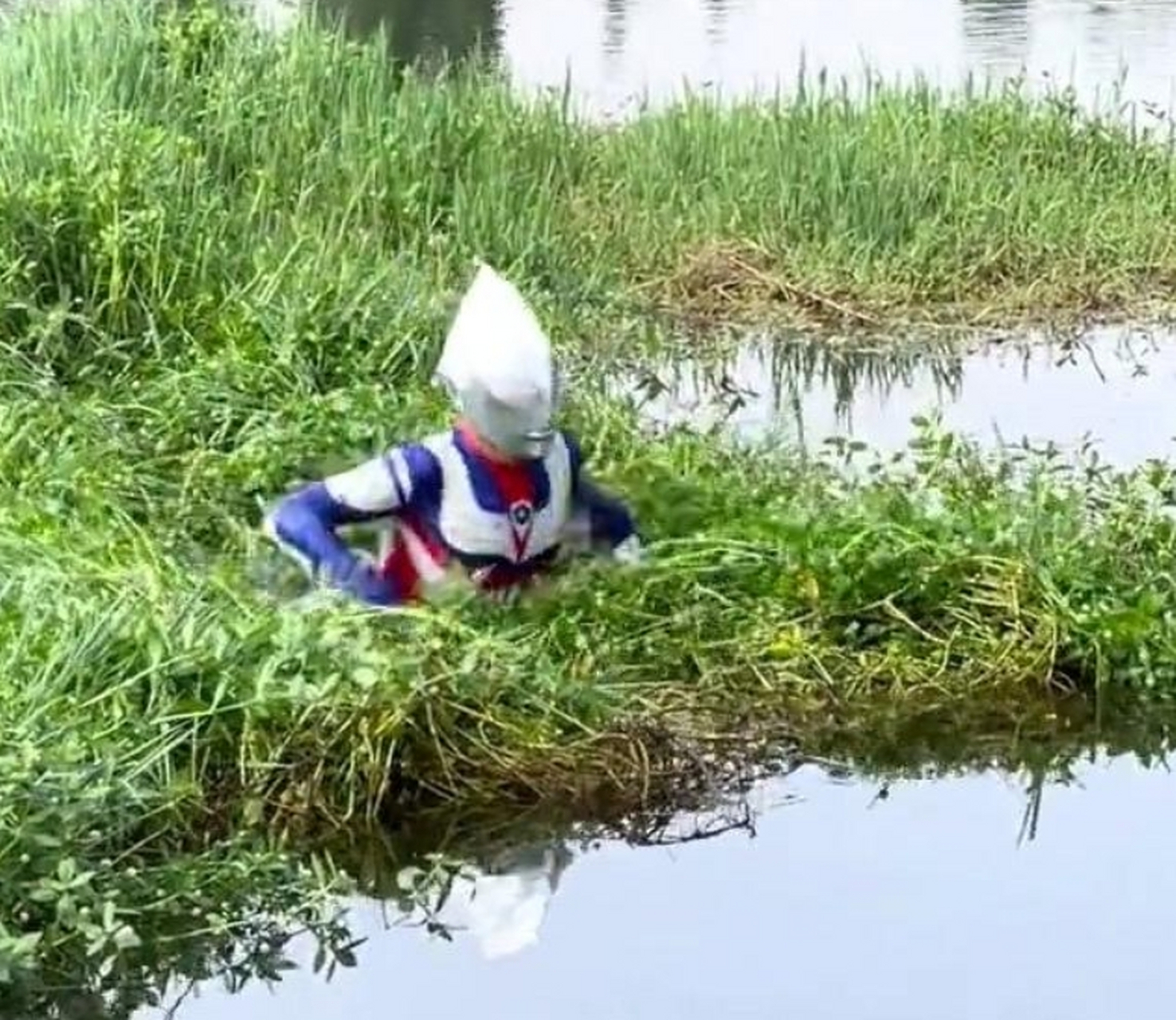 发现一只野生奥特曼