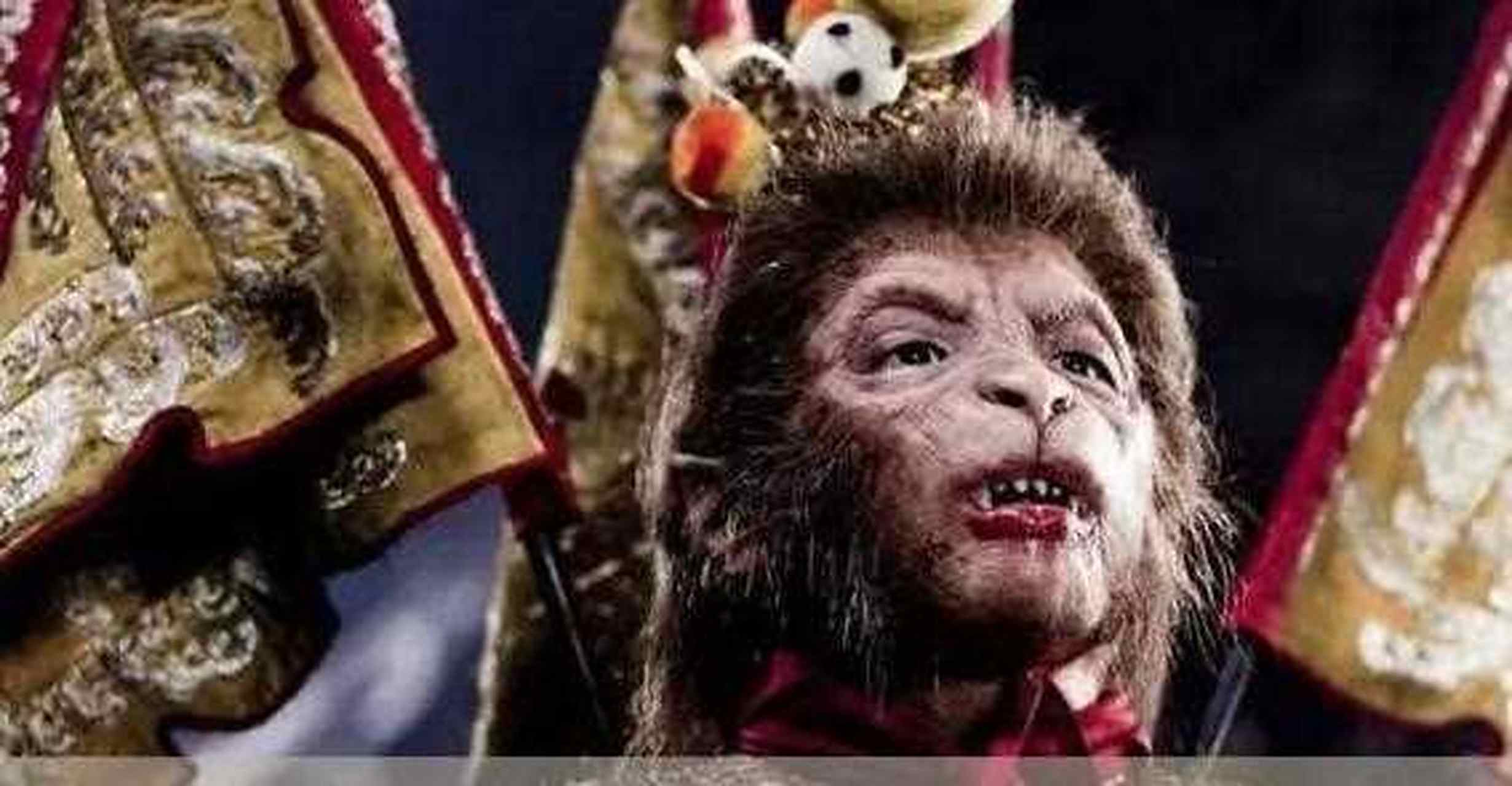 有一种"丑"叫做被亲生母亲嫌弃,这句话或许是对葛行于最好的诠释.