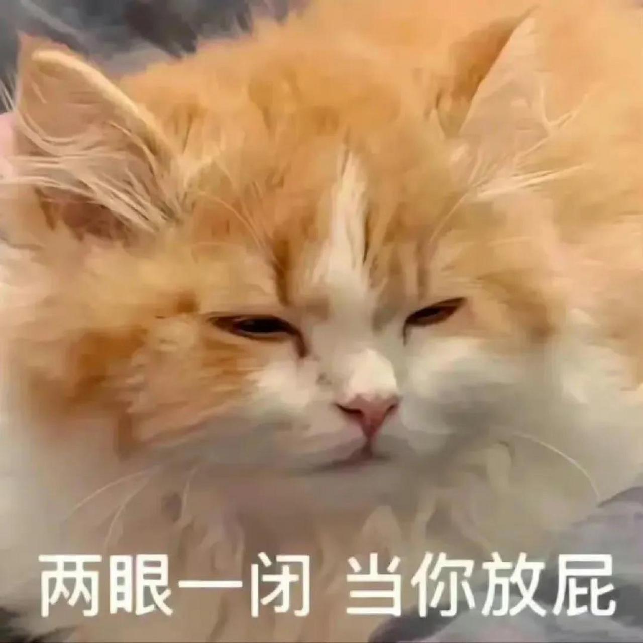 有趣表情包又增添啦