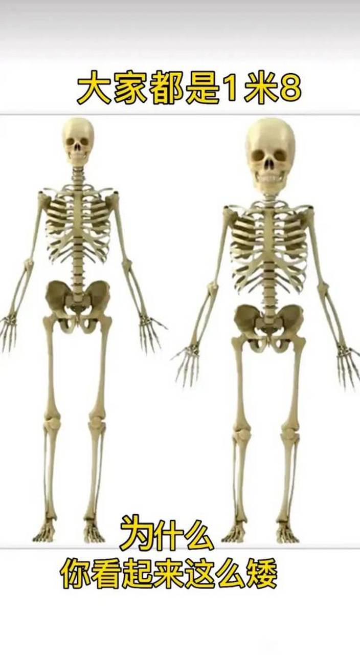 704_1280竖版 竖屏