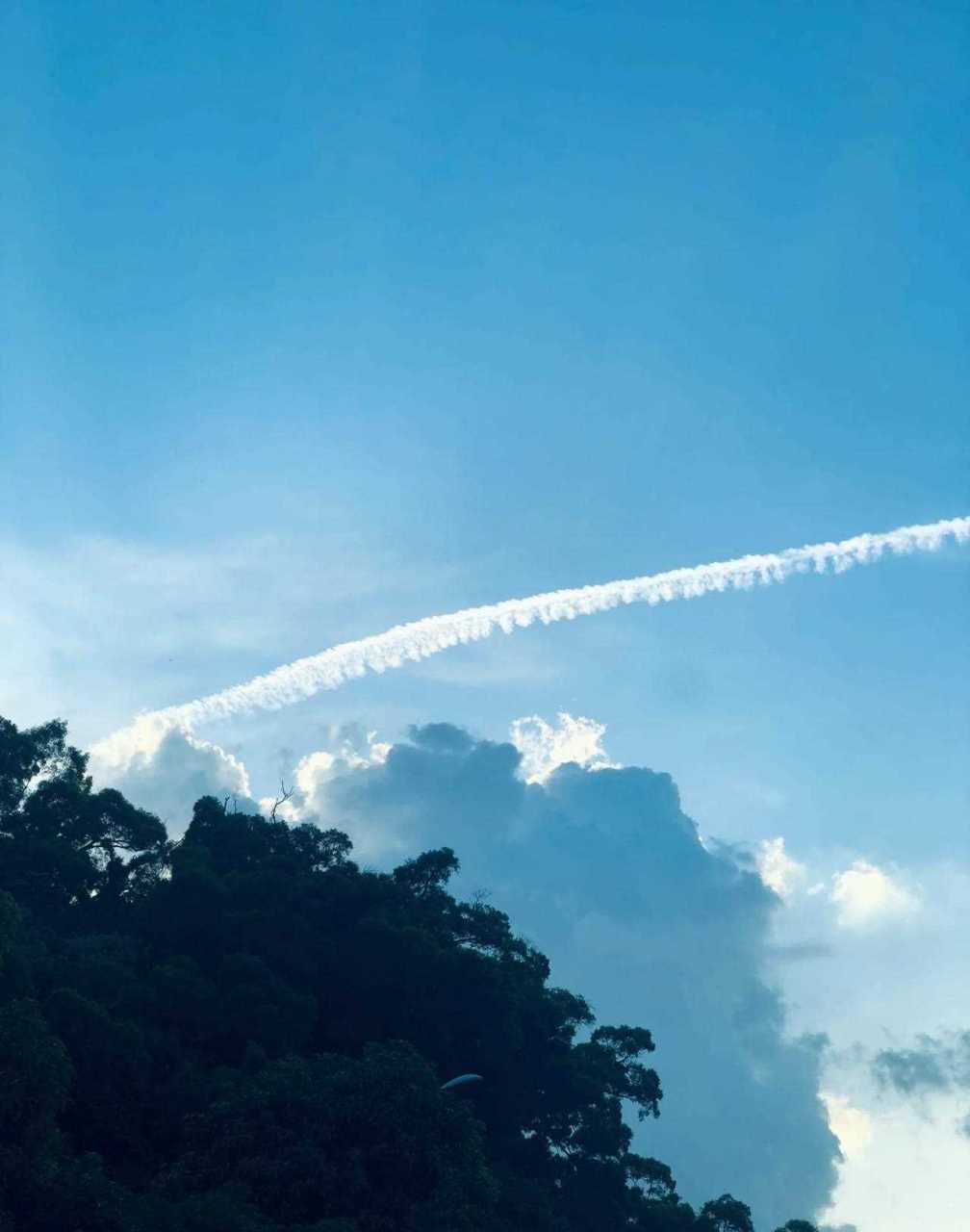 飞机划过留下的尾迹云 是我们对天空的眷恋 [抠鼻]