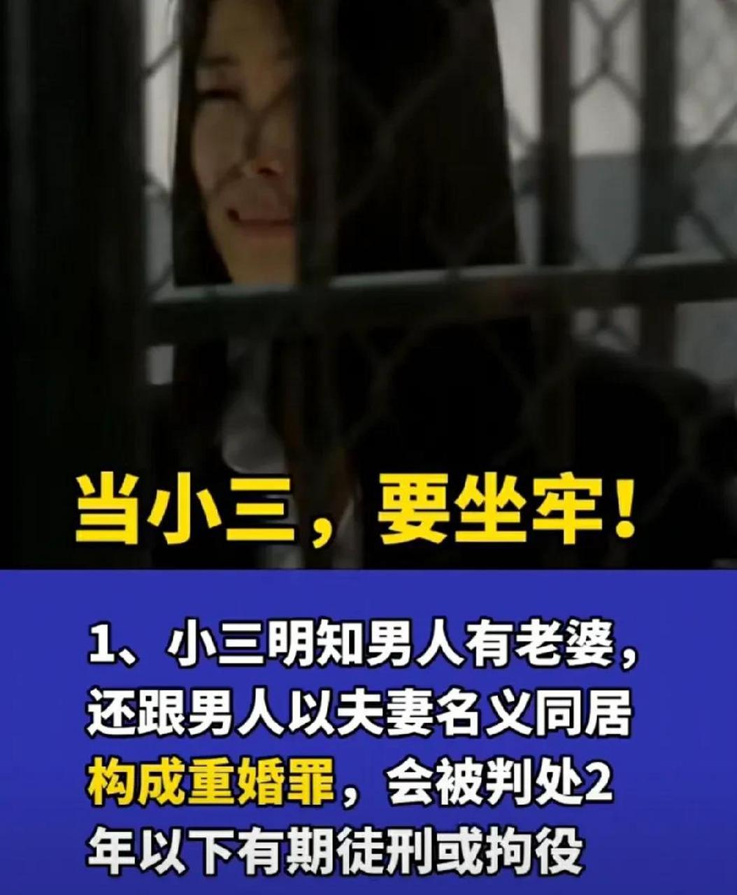 原配们注意了,当小三要坐牢了,请勇于拿起法律的武器手撕小三,一定要