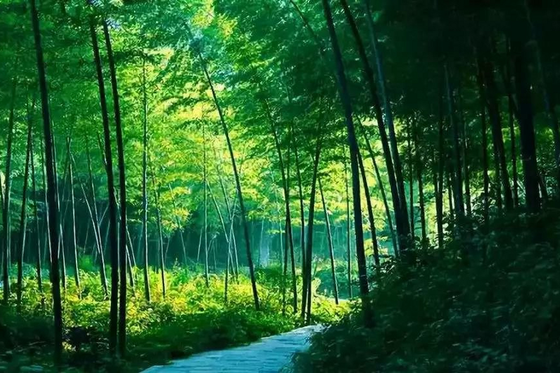 五峰山旅游景区:位于达州市大竹县,是一个充满绿色魅力的地方.