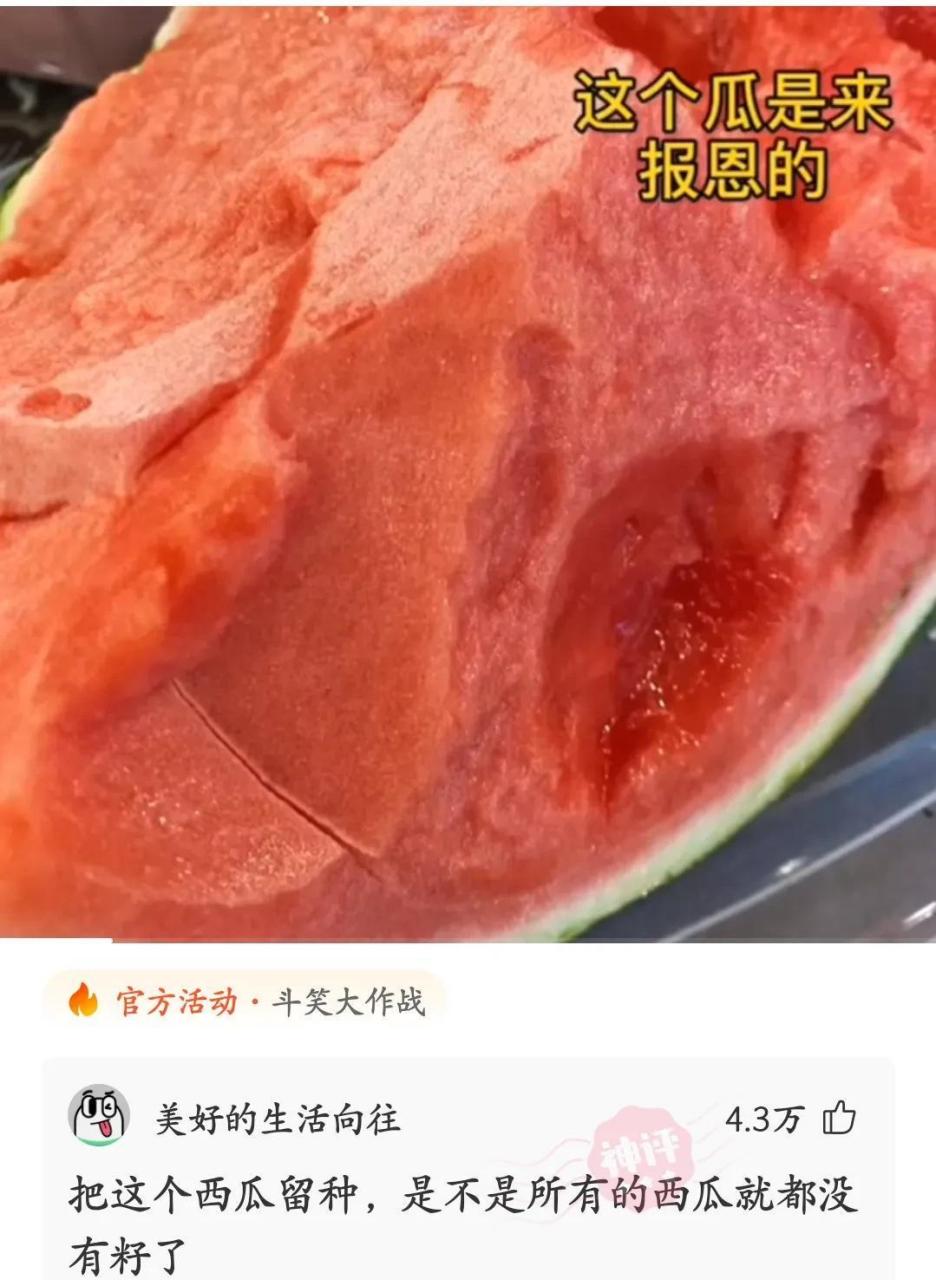 那天,如果刘华强开的是这个瓜,水果摊老板也不至于被捅