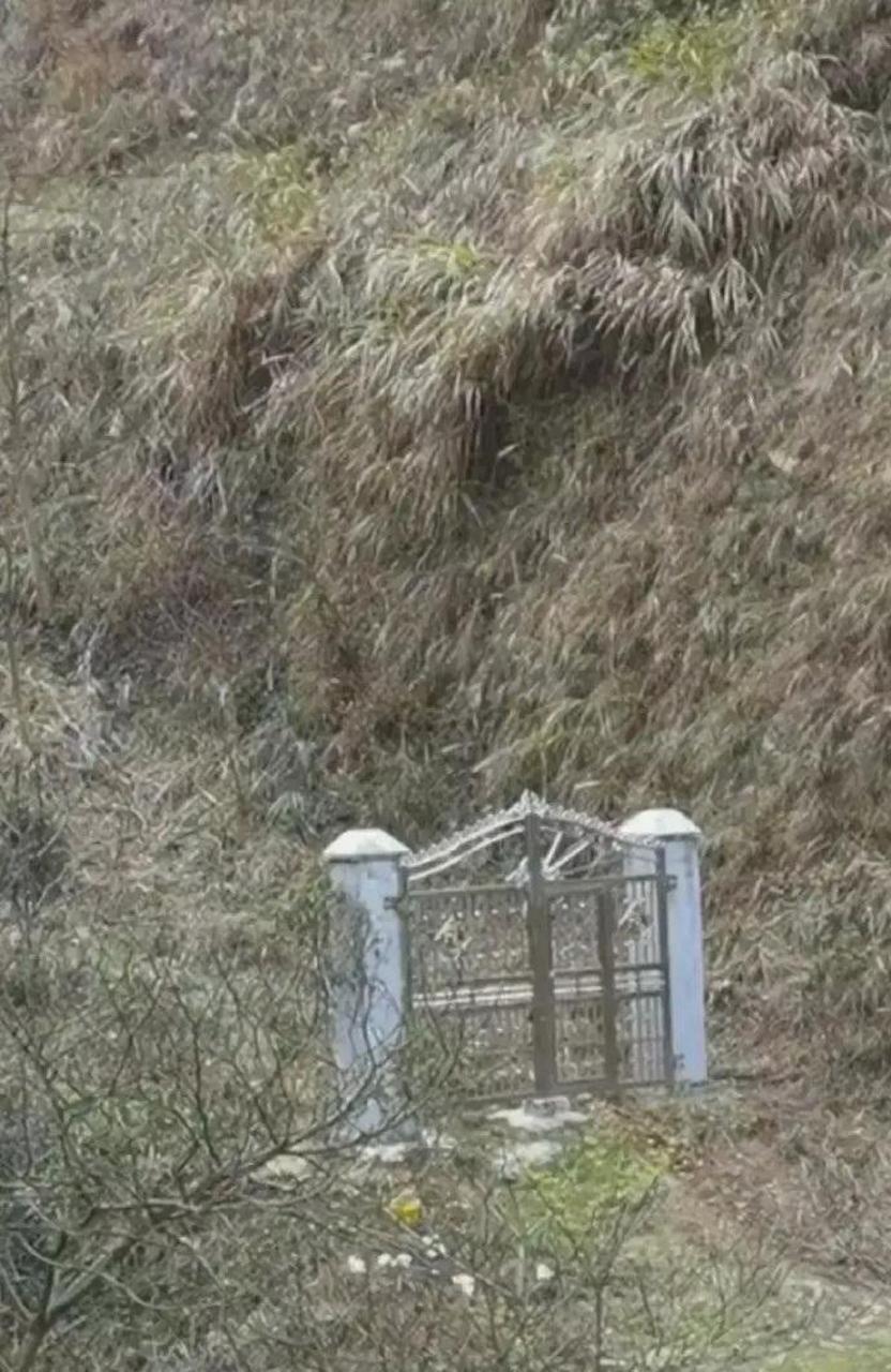 荒山野岭却建了一个大门,辛亏不是晚上,这要是晚上得吓个半死[左捂脸]