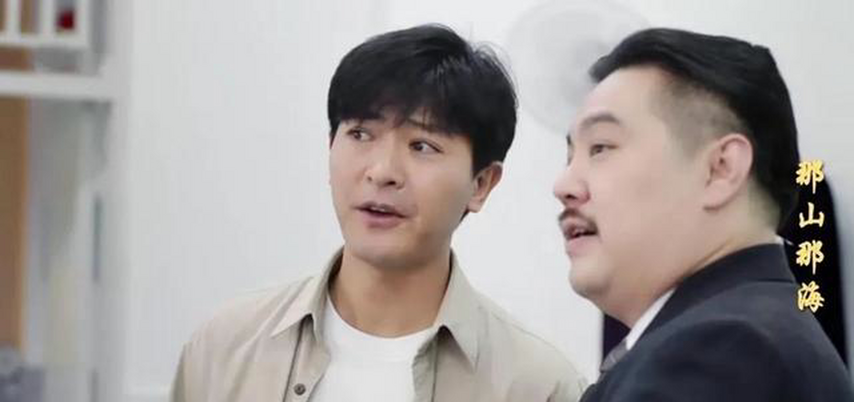 《那山那海》是由杨铮,奚望,张光北,杨立新,何振军等人主演的电视剧