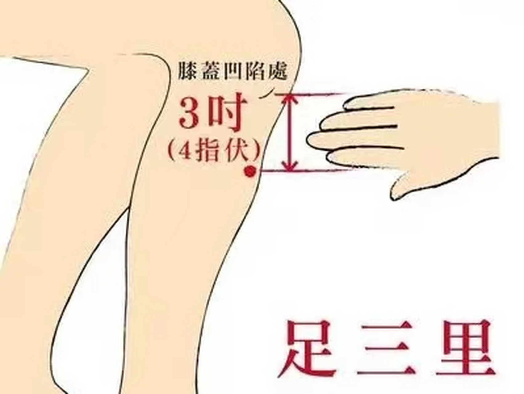 阴陵泉穴,足三里穴每次揉按3-5分钟可以健脾活血,去湿气.#恒星计划
