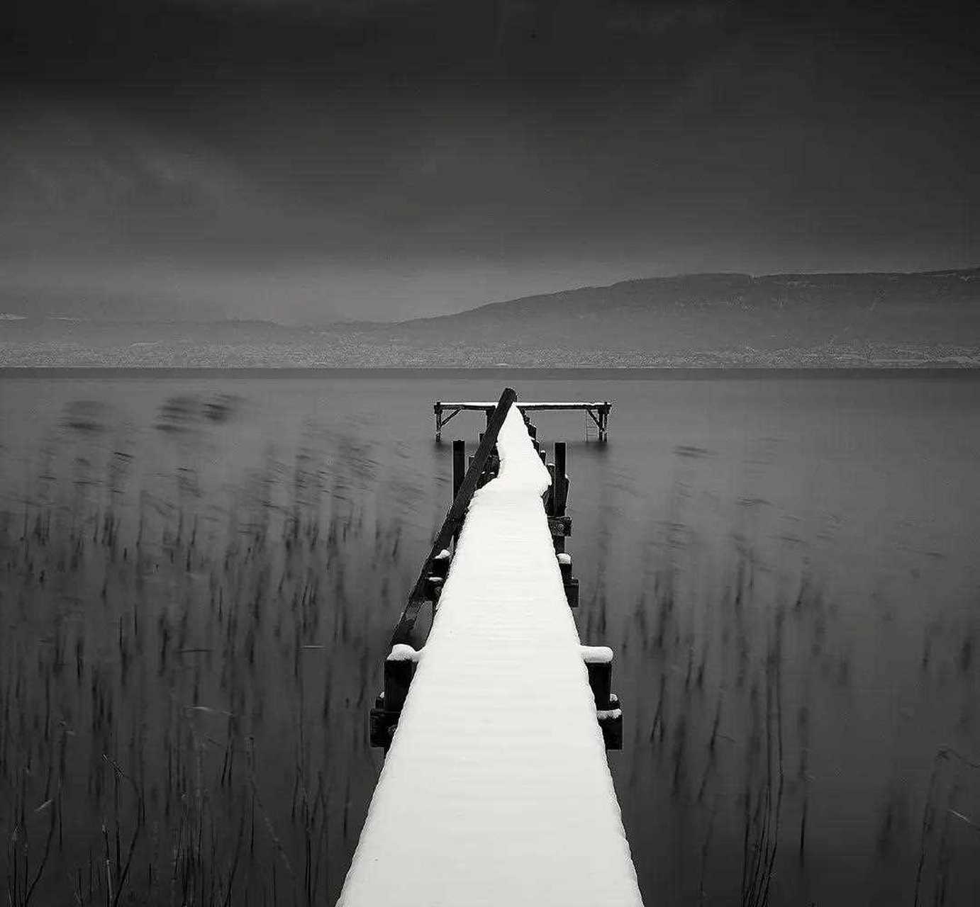 极简风光摄影作品, 雪天的灰白天空和雪地融为一体,突出了树这一主体