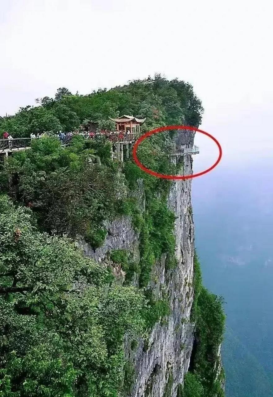 张家界天门山景区4人跳崖自杀# 如果这场奔赴死亡的"游戏"已蓄谋已久