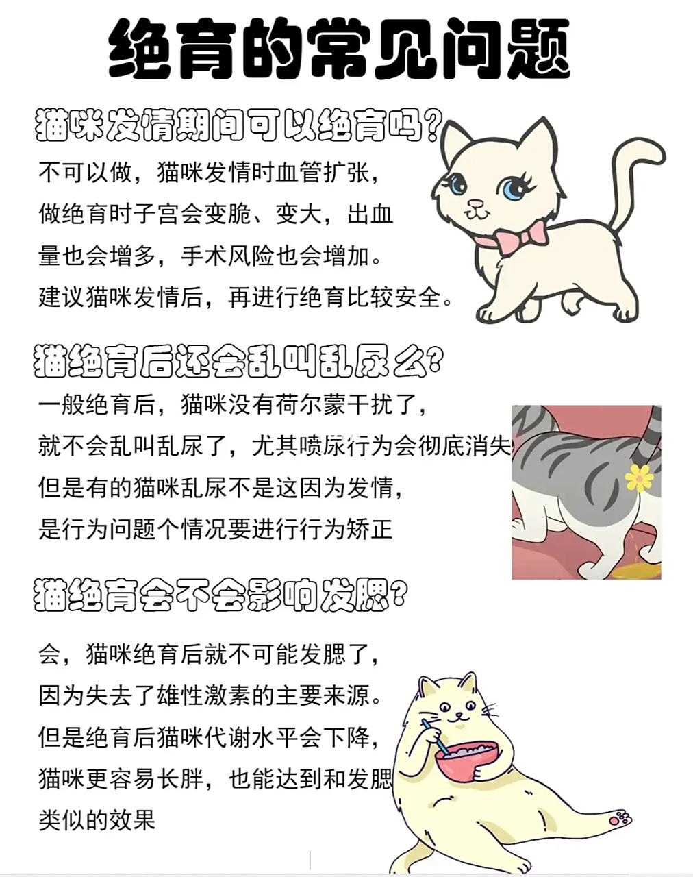 为什么猫要做绝育