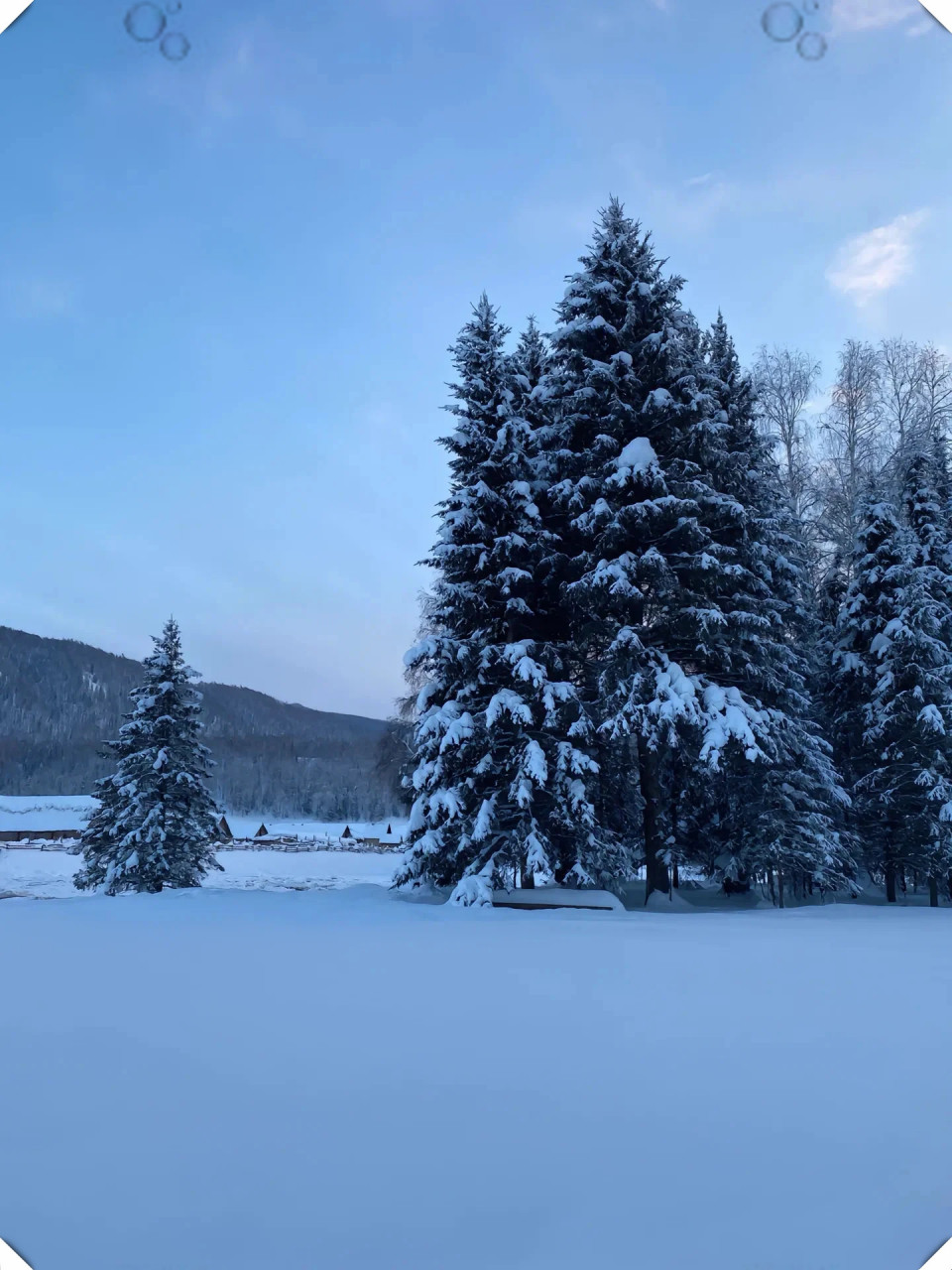 阿勒泰下雪图片