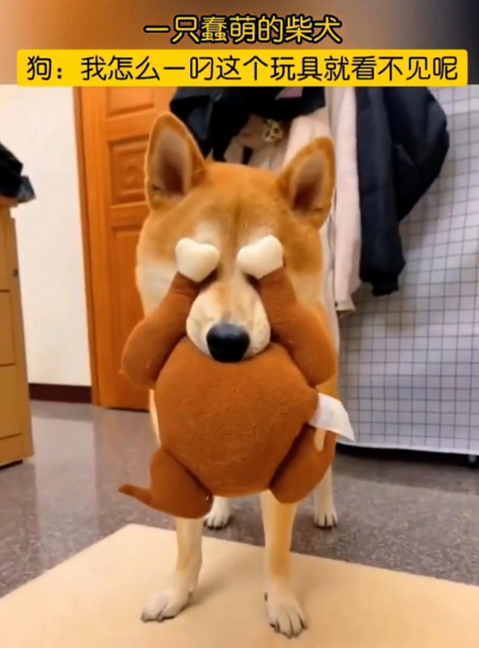 这就是所谓的"眼不见,心不烦"吗?