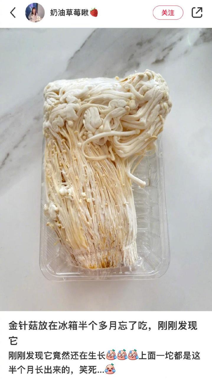 金针菇别放进冰箱太久,长得还挺快