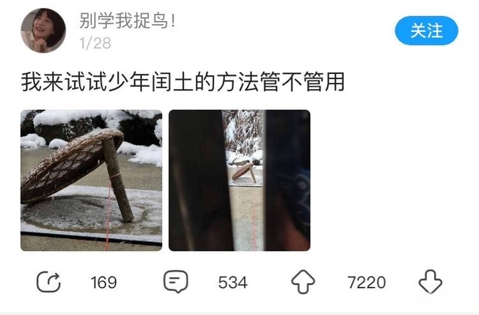 先帝创业未半而中道崩殂