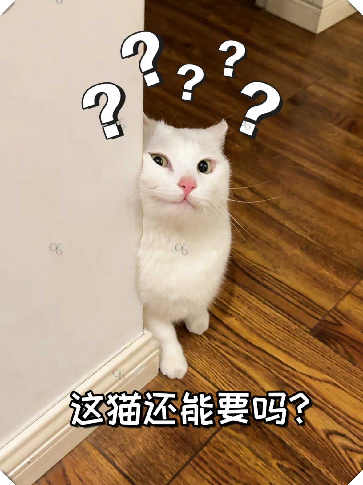 真是让人无语啊～ 谁家的猫在猫砂里打滚呢?