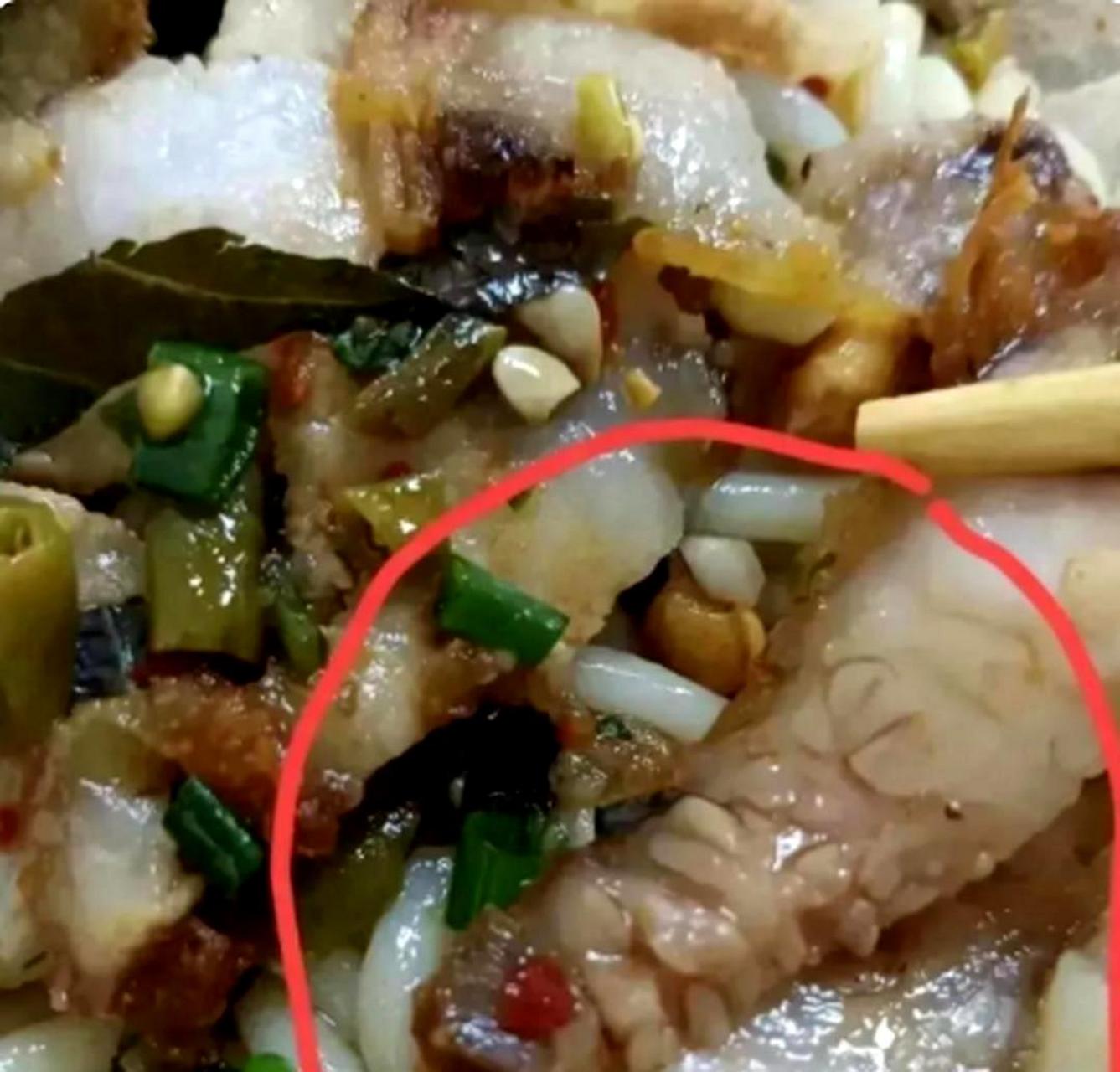 警告广大朋友,不要再被误导认为这是淋巴肉!