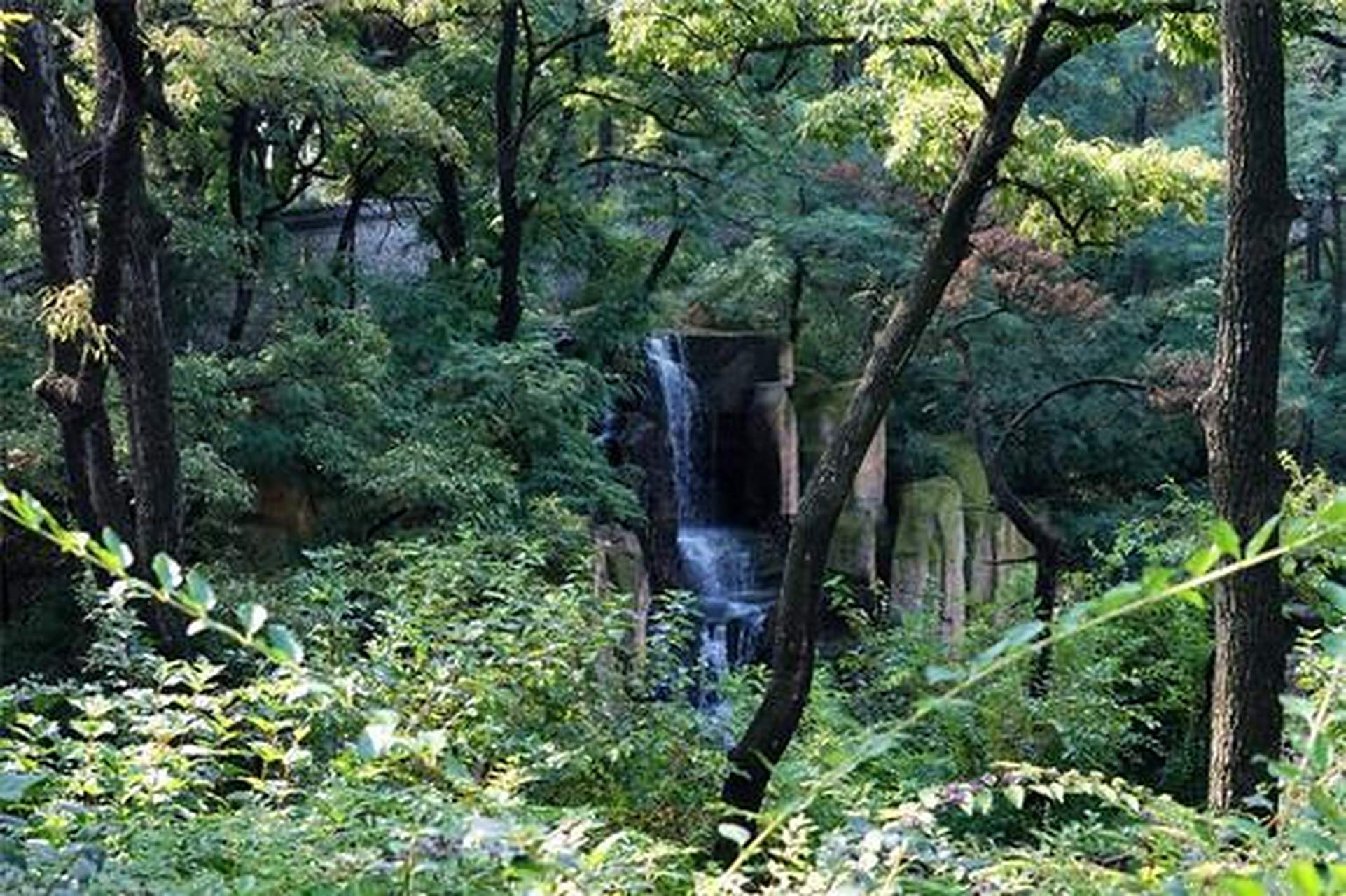 莲峰山位于渭源县城东南34公里处的森林公园,因九峰环峙,形似莲花而得