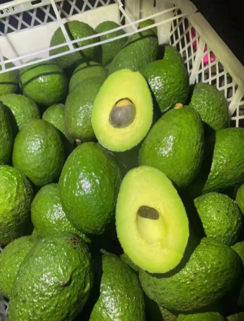 牛油果又名"鳄梨",一种热带水果,它的营养价值非常高,味道也很独特