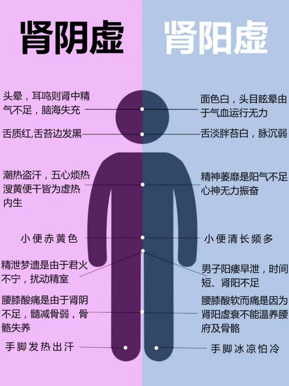 肾阳虚和肾阴虚的表现都有哪些!