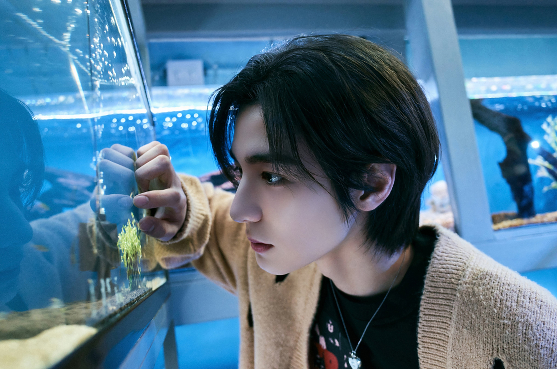 hybe男团boynextdoor新专歌曲"but i like you" mv照片!