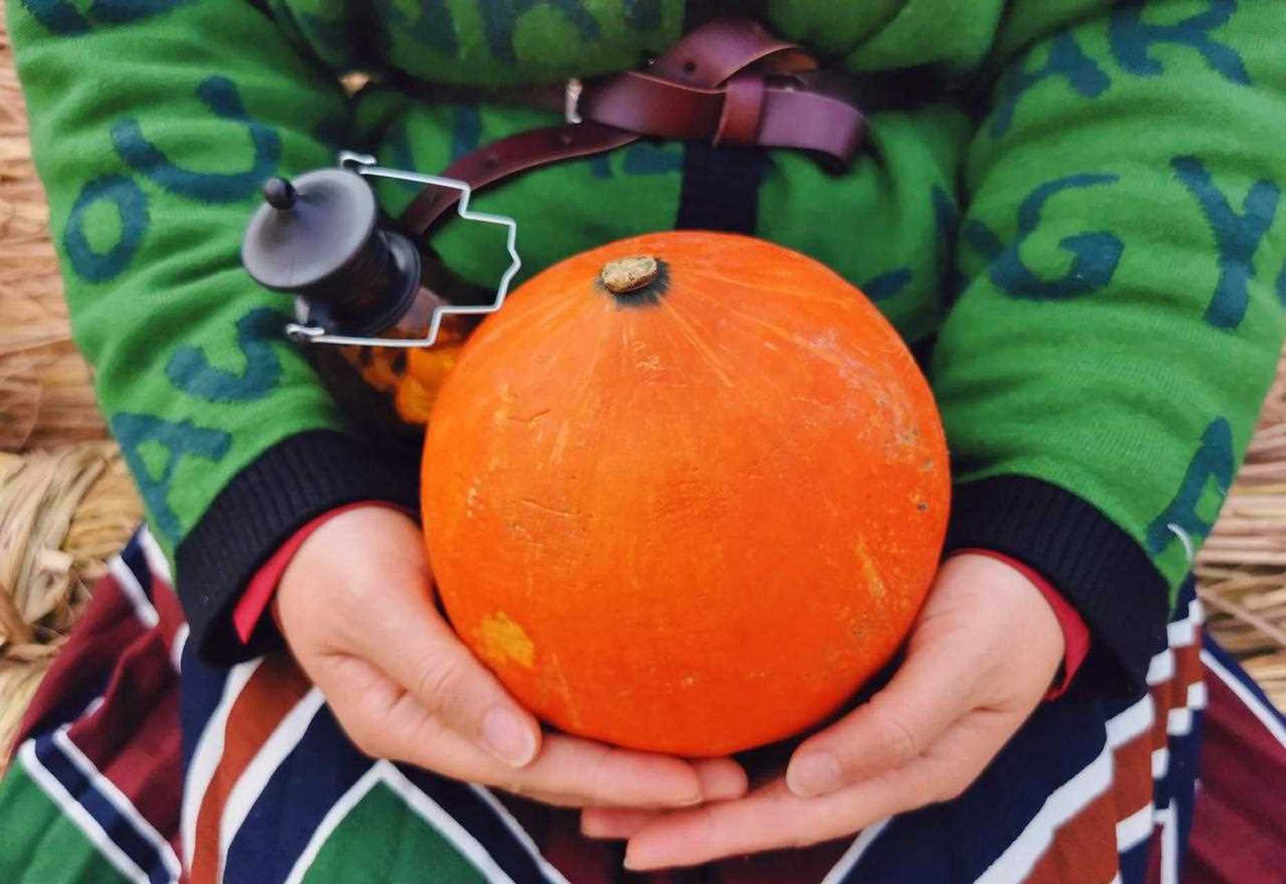 trike or trite [发怒] 不给糖就捣乱的季节又到了[笑][咒骂] 每个