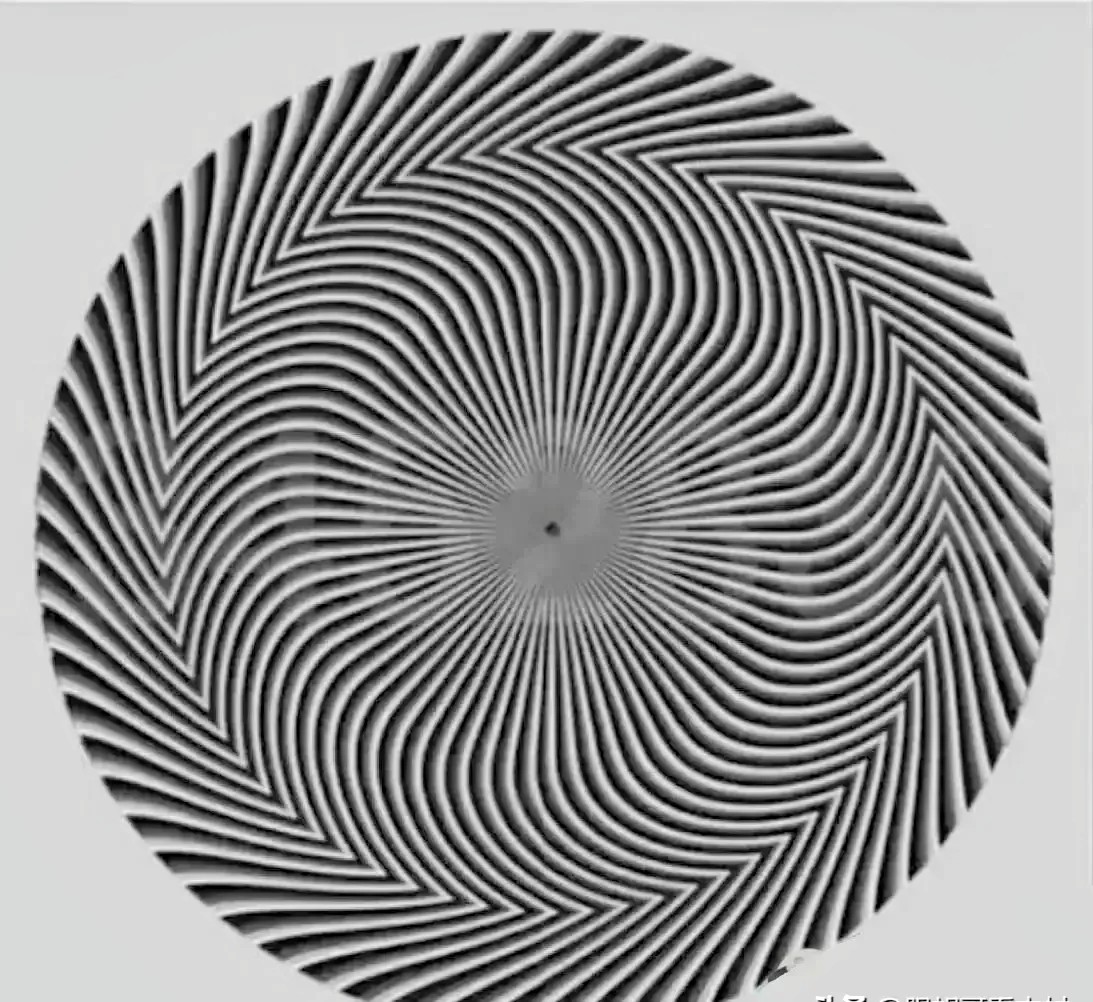 据说这是一张飞行员测试图,今天为了看这张图我付出了700元