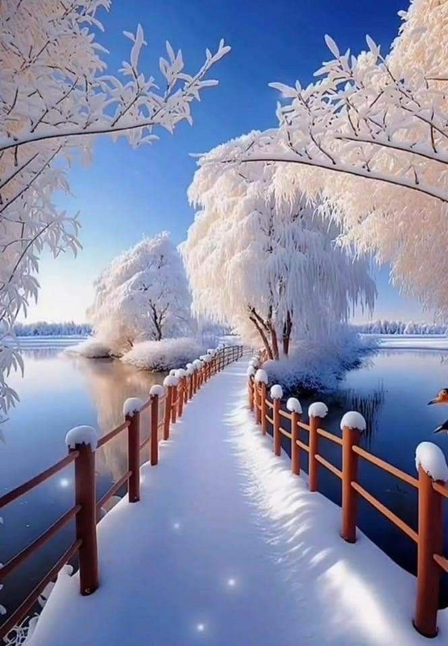 冰雪主题,唯美壁纸