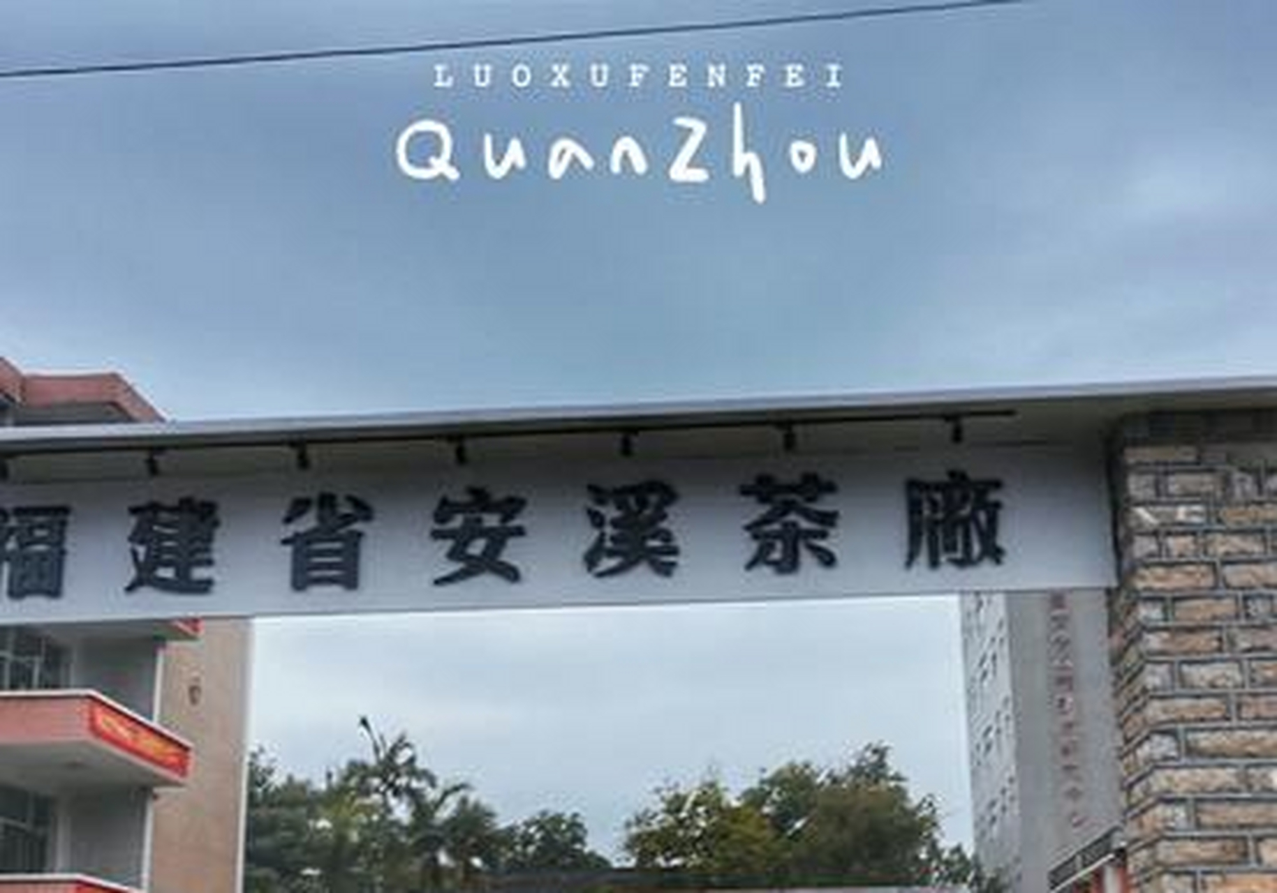 安溪铁观音集团始于1952年,与祖国共同成长已有近70年了.