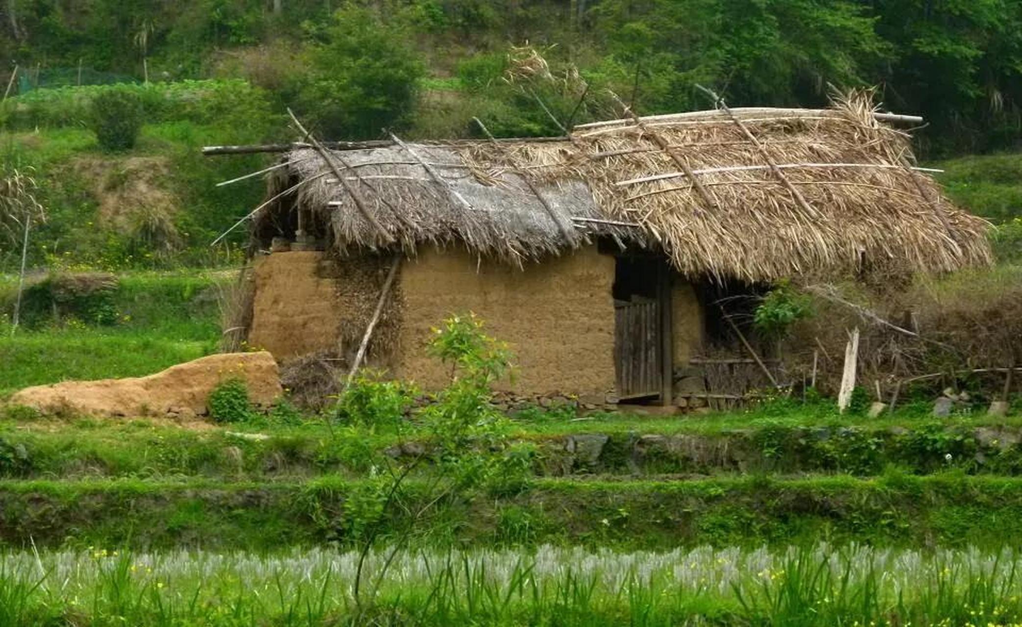 "老奶奶看着狐狸大声地说道.