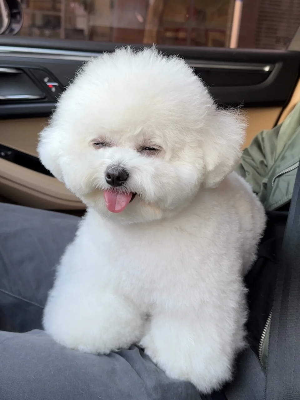 谁能拒绝一只白白胖胖的香香小狗!  洗白白的小狗真的也太可爱了吧!