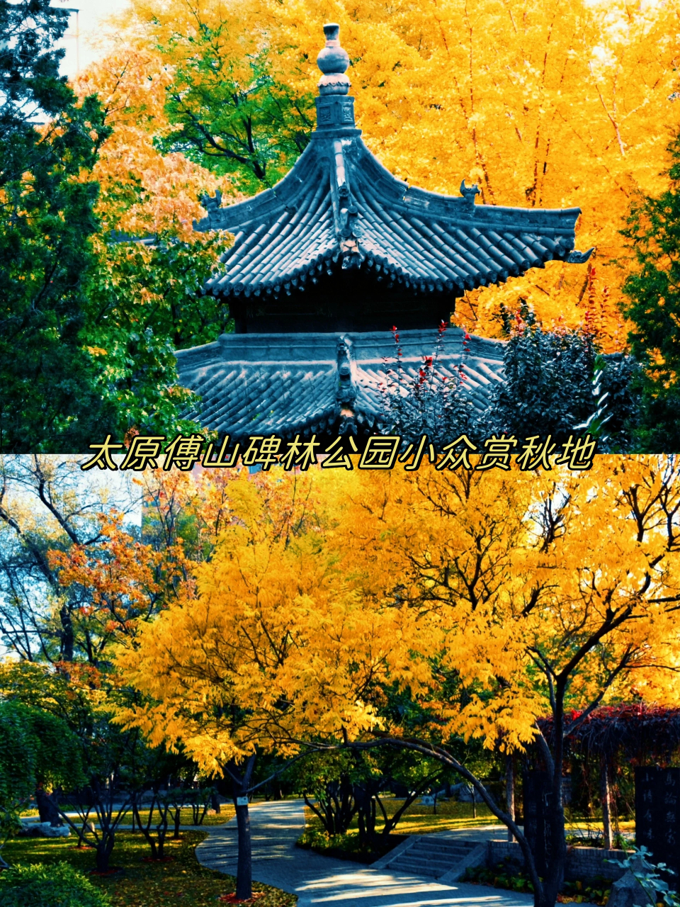 太原傅山碑林公园小众赏秋地  太原傅山碑林公园,一片静谧的秋色等待