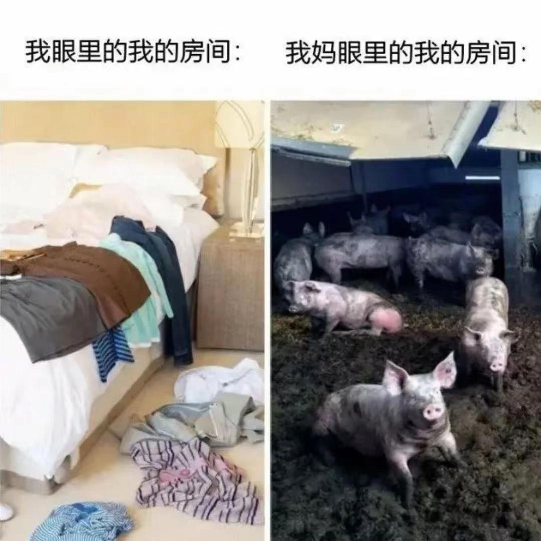 vs  我妈眼里的猪窝#趣图搞笑