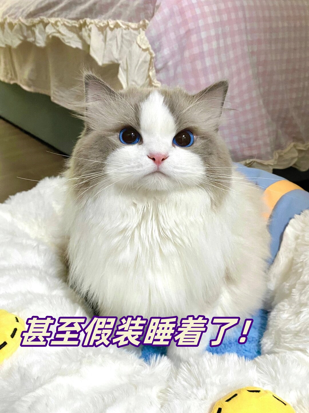不仅不认错还一脸不服气的样子甚至假装睡着了
