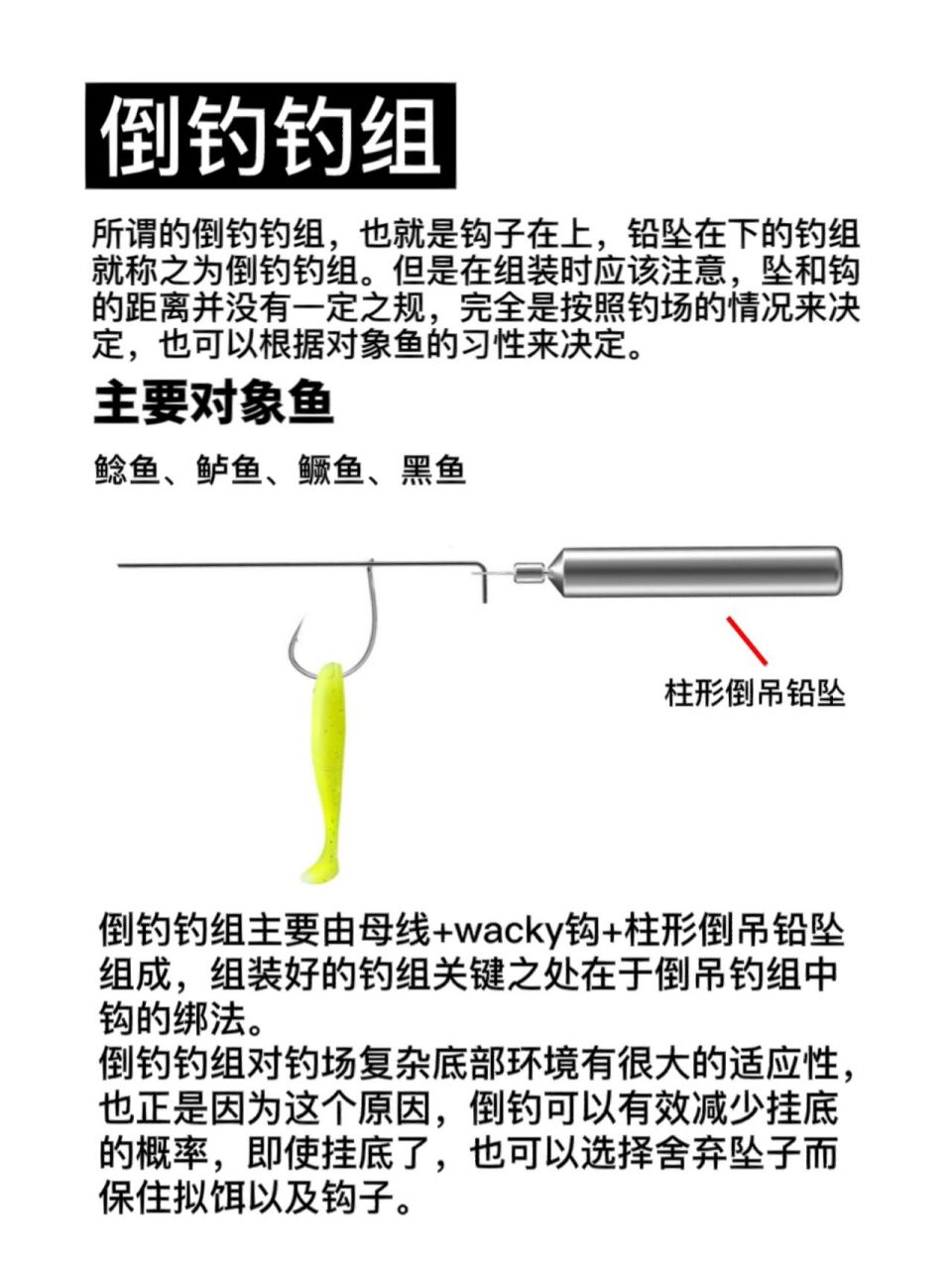 改良卡罗钓组图解图片