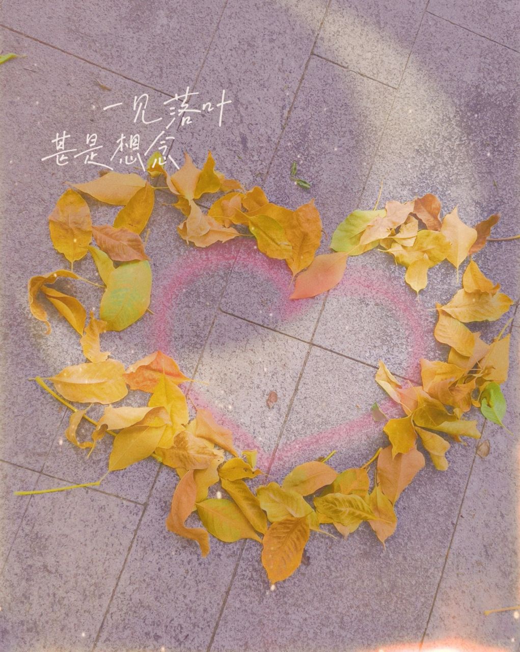 是谁的思念唯美了整个秋天!