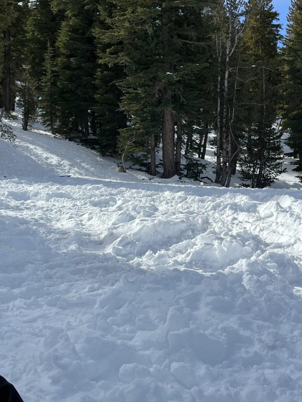 tahoe天然雪道滑雪!