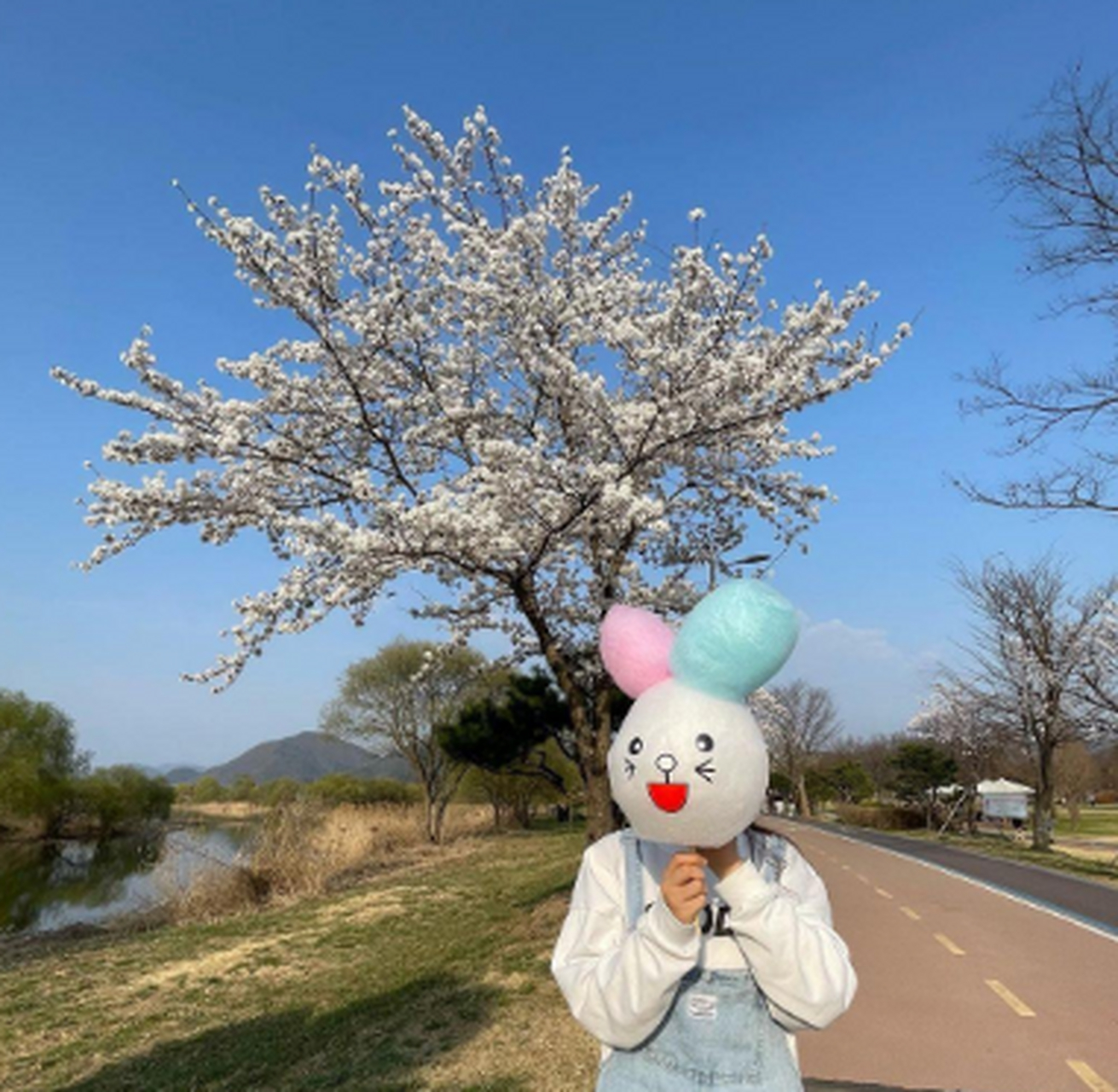 好可爱的棉花糖,萌萌哒