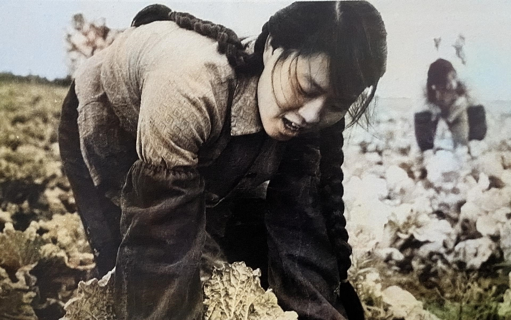 1995年,下乡女知青放弃城里的优越生活嫁了一个农民, 她绝望的将整瓶